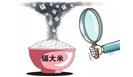 食品检测与磁共振 