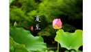 最热的时期到了，夏季安全一定要做好“十防”