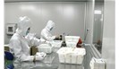 抽样的分类、概率抽样方法及注意事项