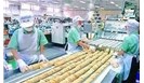 多批次样品因防腐剂比例之和不合格被省局通报，企业如何应对！