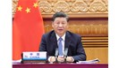 习近平出席二十国集团领导人第十五次峰会第一阶段会议并发表重要讲话