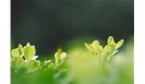 推动生态环境科技成果转化的对策研究