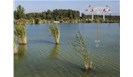 遥感技术在水环境和大气环境监测中的应用分析