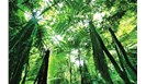 浅析土壤重金属检测方法的应用及发展趋势的研究