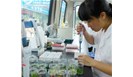 ​抽样如何做方法验证？